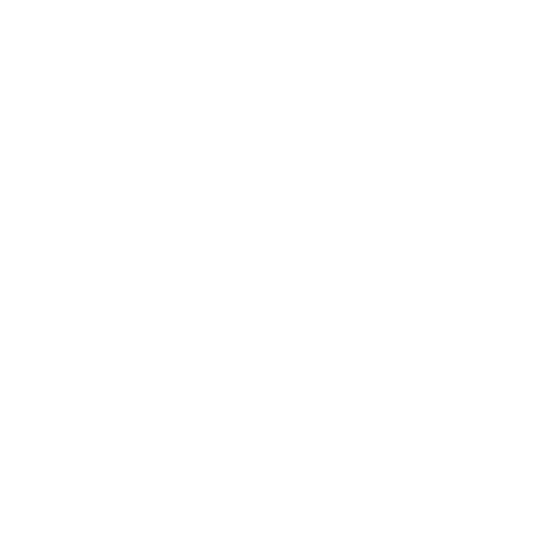 AUDIO